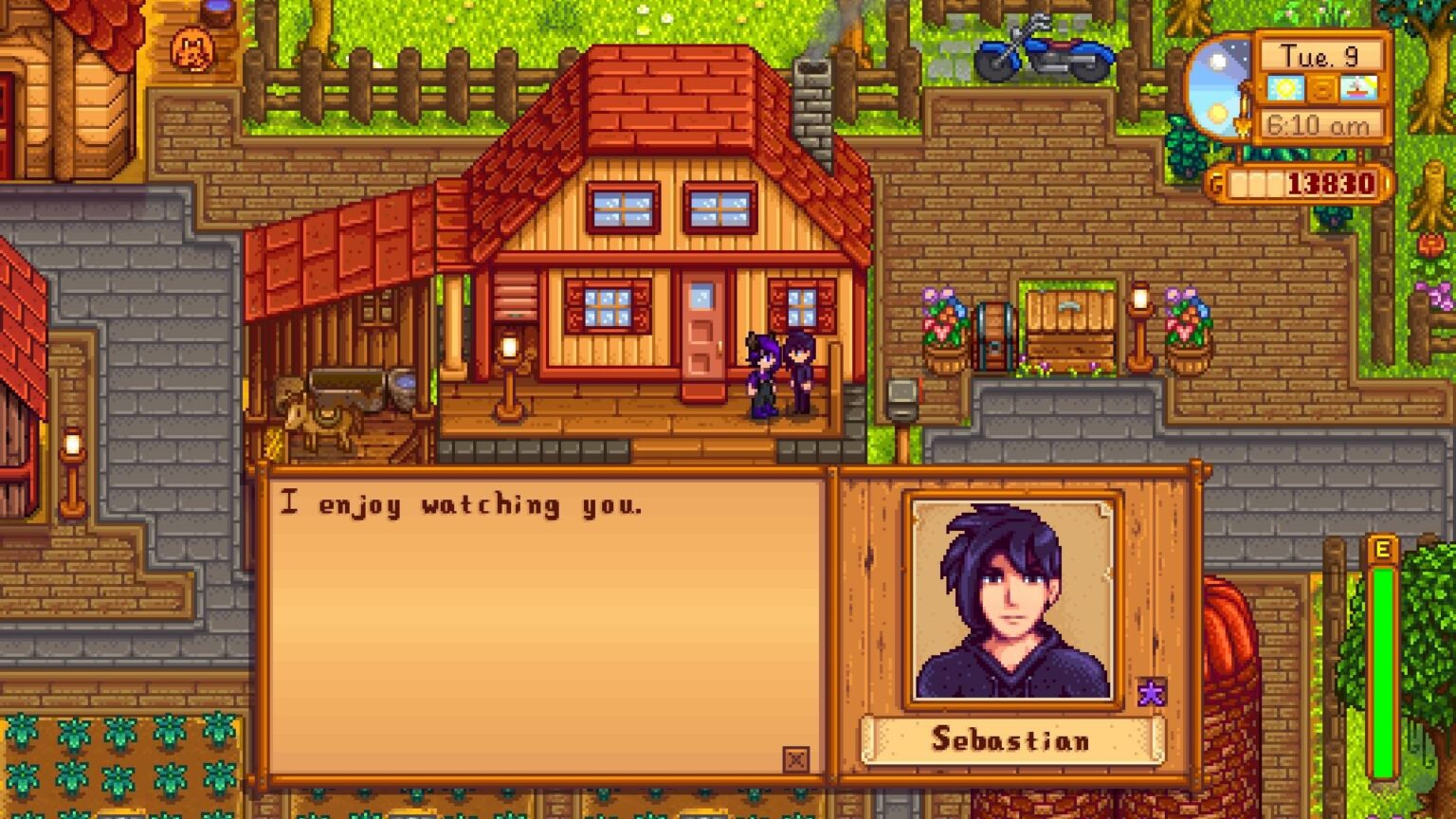 stardew-valley-sebastian-gift-guide-how-to-romance-sebastian-in