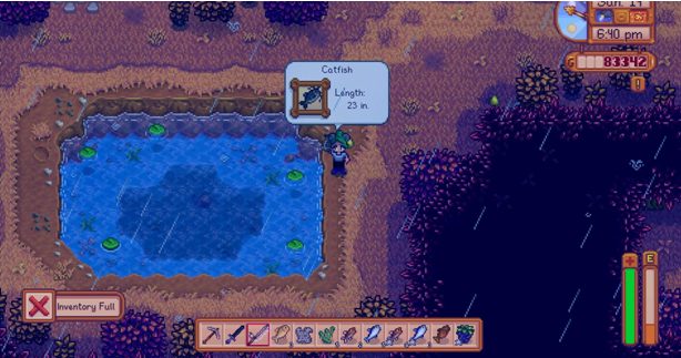 Stardew Valley catfish