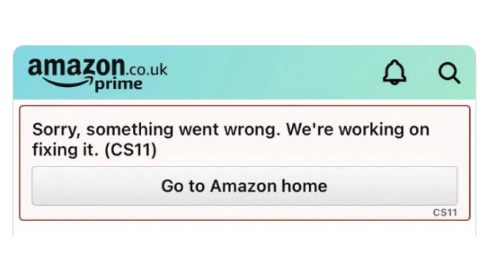 Cs 11 Error Amazon App