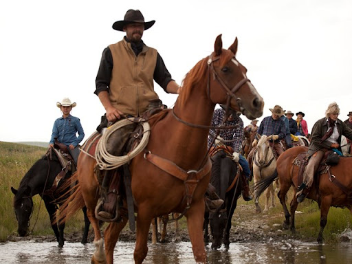 How to Be a Cowboy