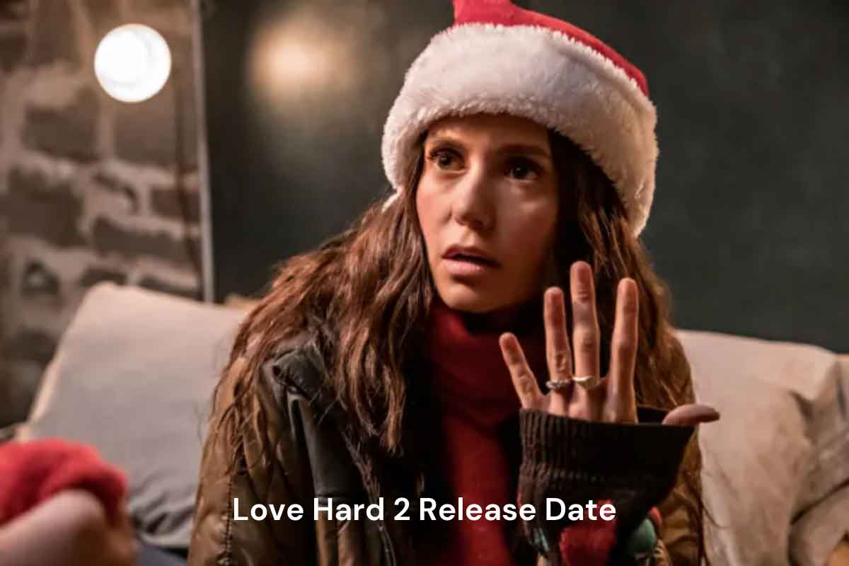 Will Netflix do Love Hard 2?