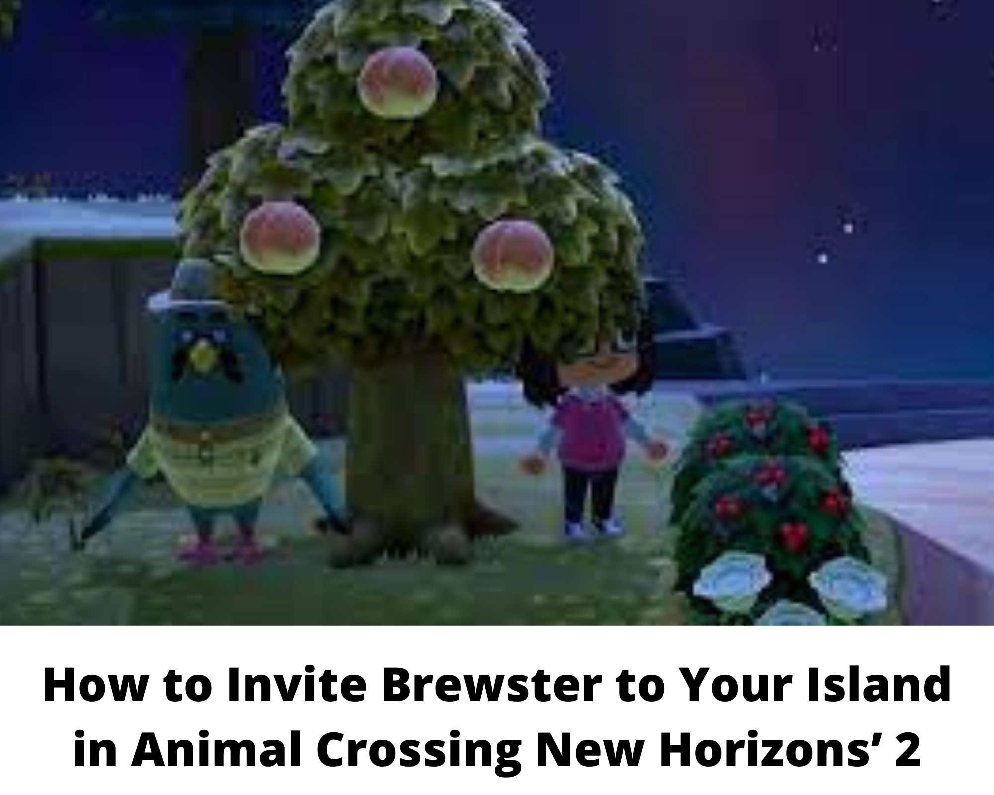 How to Invite Brewster to Your Island in Animal Crossing New Horizons’ 2