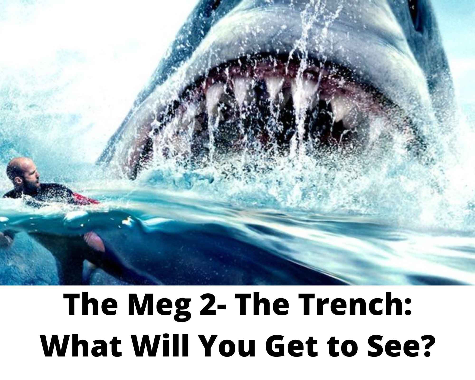 The Meg 2