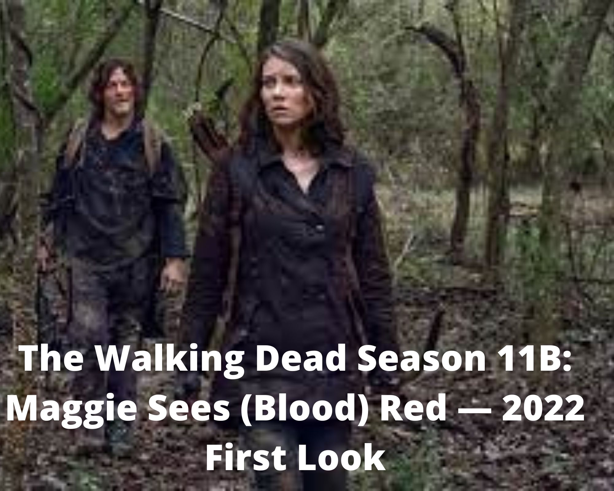 The Walking Dead Season 11B