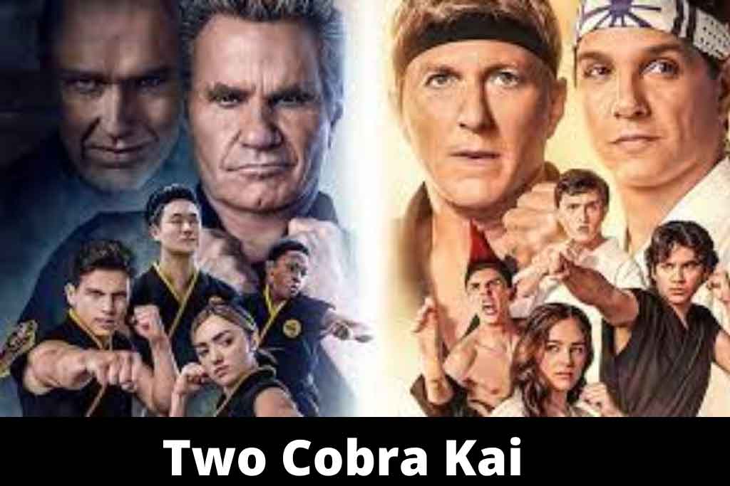 Two Cobra Kai 