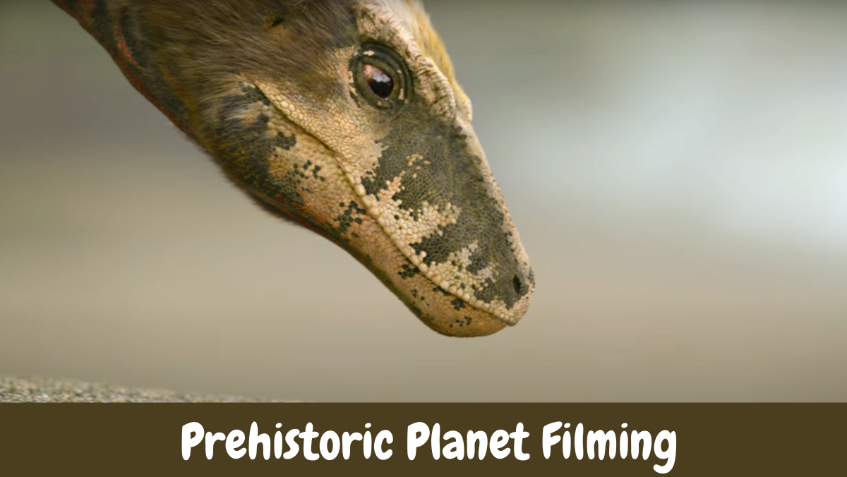  Prehistoric Planet Filming