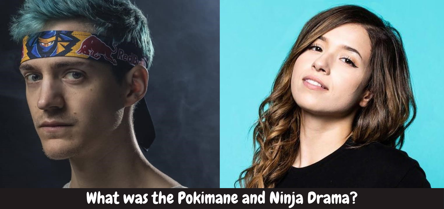 What was the Pokimane and Ninja Drama?