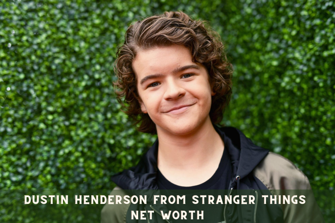 Dustin Henderson from Stranger Things Net Worth
