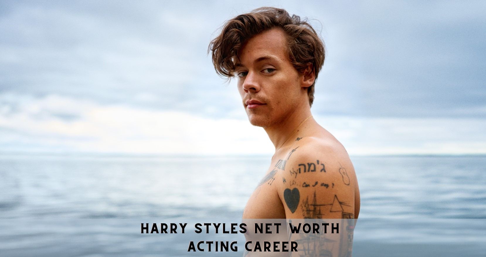 Harry Styles Net Worth- Acting Career