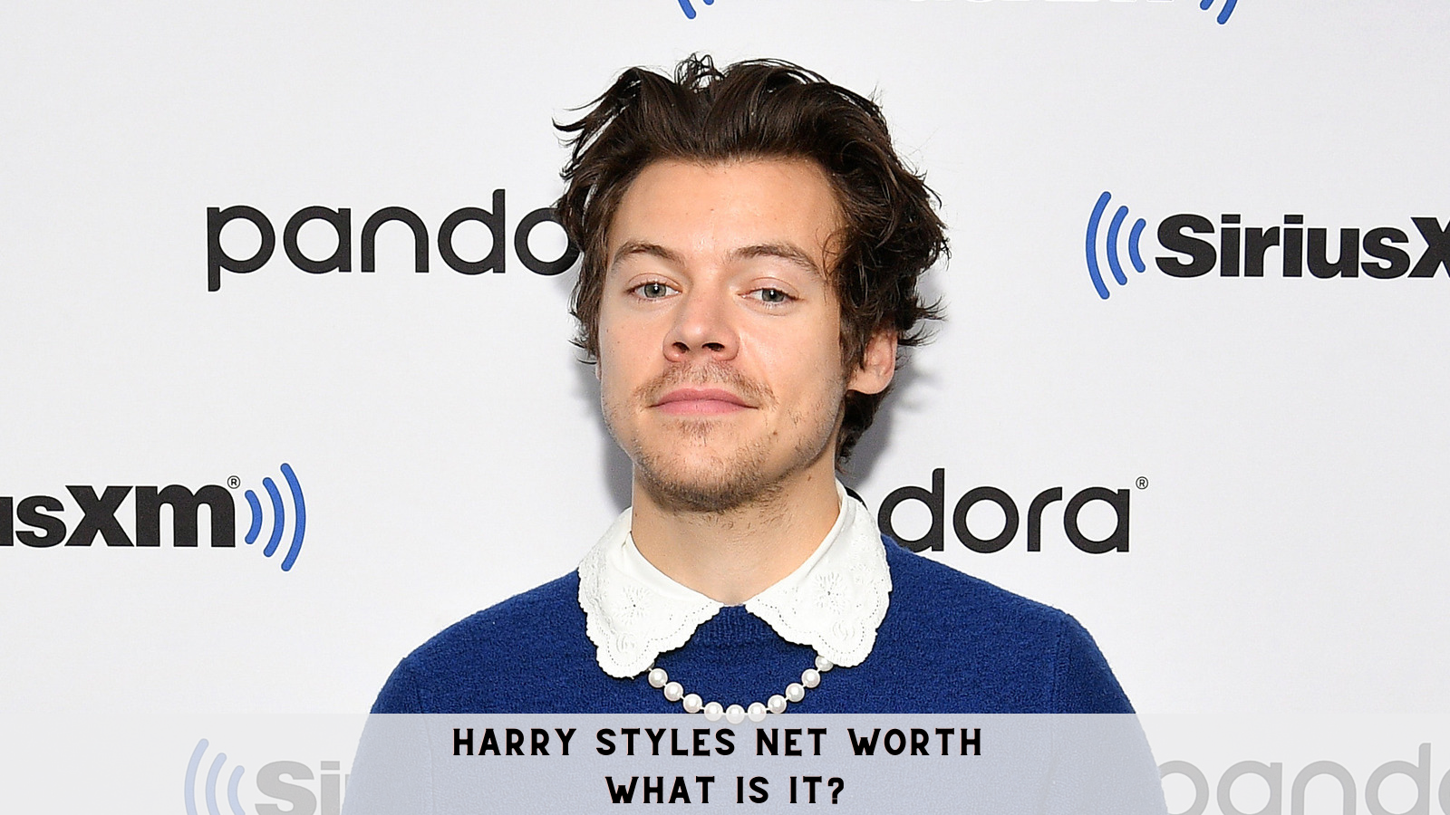 Harry Styles Net Worth- What is it?