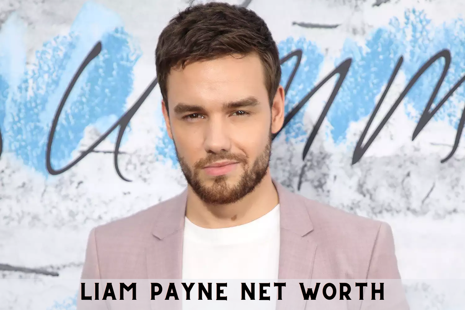 Liam Payne's Net Worth
