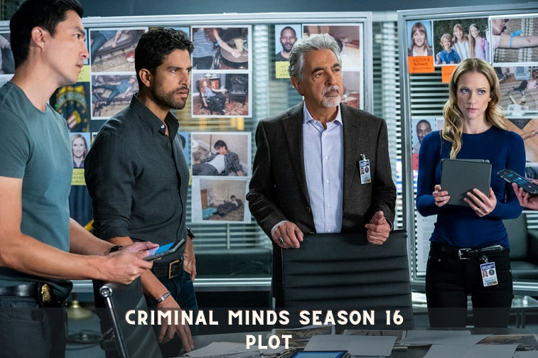 Criminal Minds Season 16 Plot