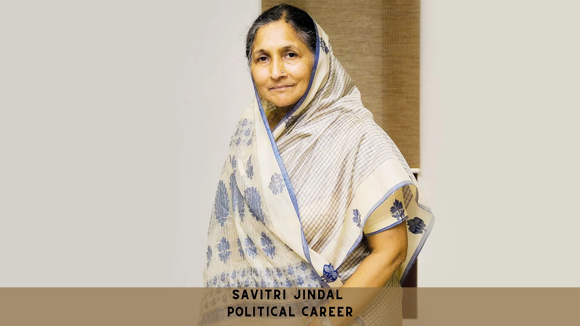 Savitri Jindal Political Career