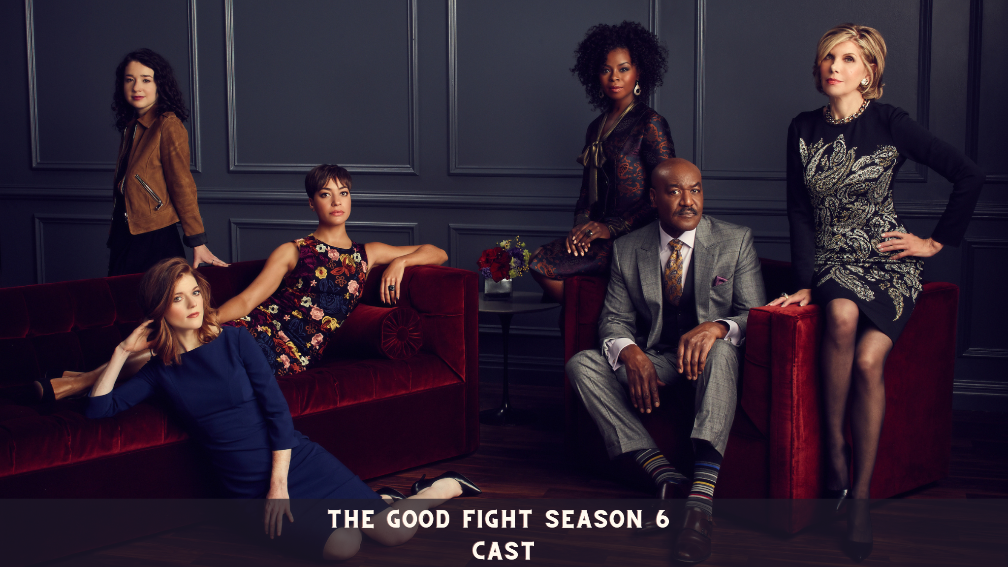 The Good Fight Season 6 Cast