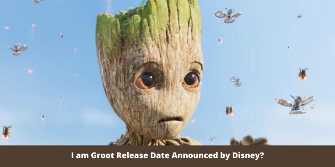 I am Groot Release Date Announced by Disney?