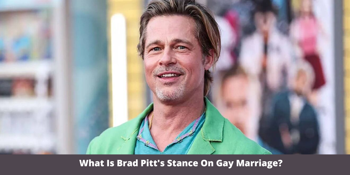 What Is Brad Pitt's Stance On Gay Marriage?
