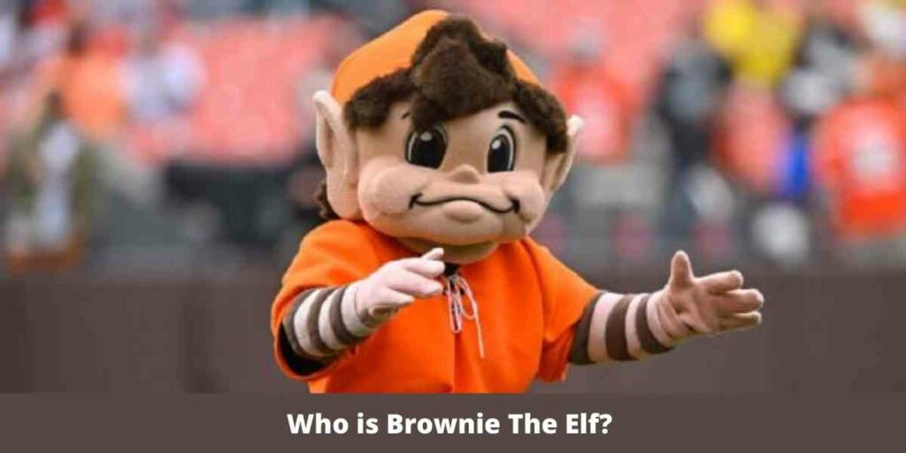 Who is the Brownie the Elf?