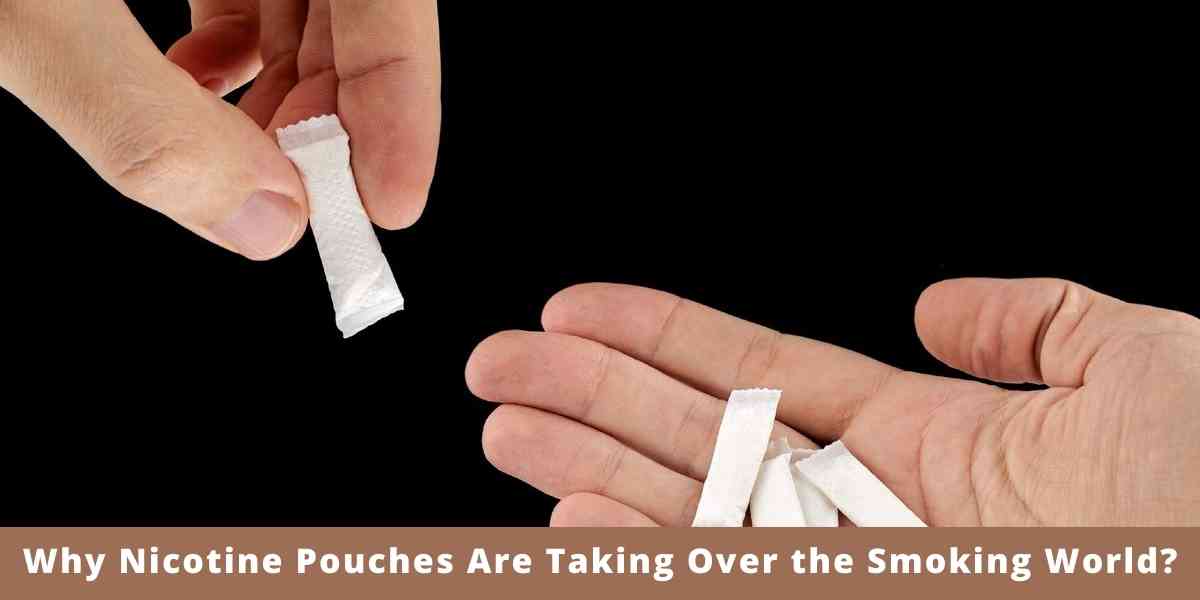 Why Nicotine Pouches Are Taking Over the Smoking World