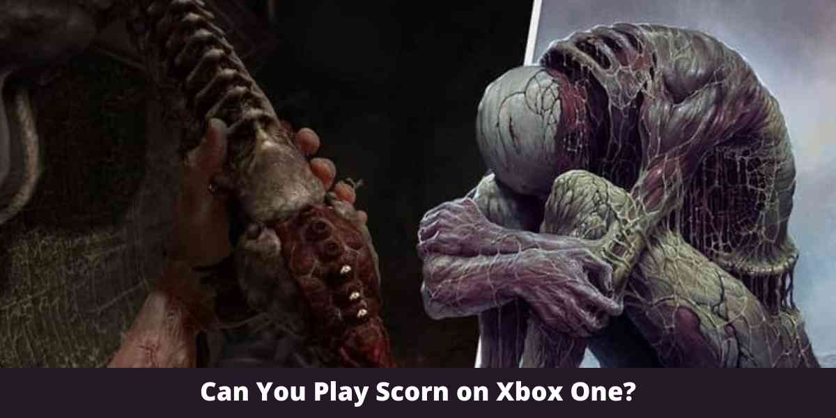 Can You Play Scorn on Xbox One?