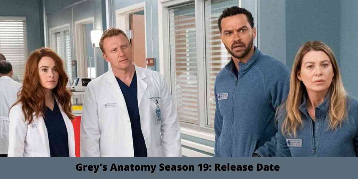Grey's Anatomy Season 19: Release Date 