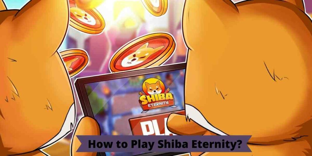 How to Play Shiba Eternity?