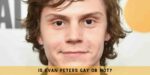 Is Evan Peters Gay or Not