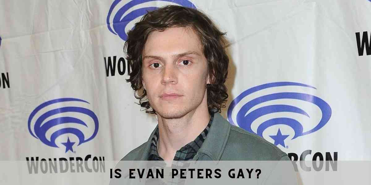 Is Evan Peters Gay?