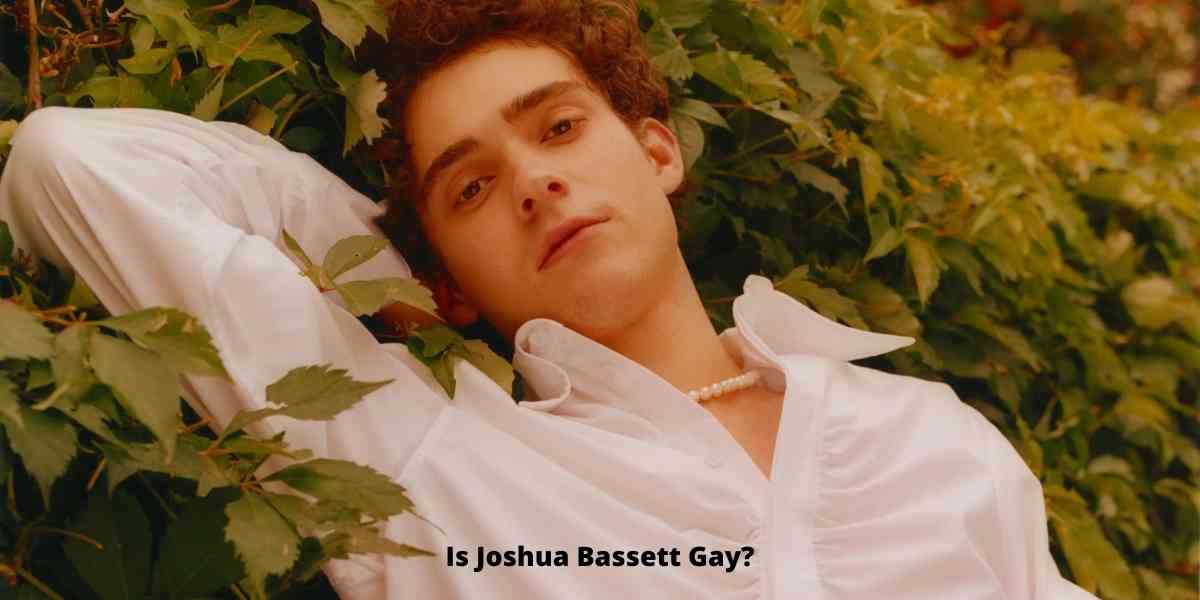 Is Joshua Bassett Gay?