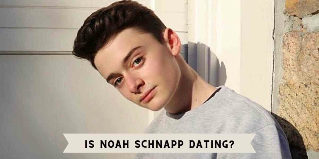 Is Noah Schnapp Dating?