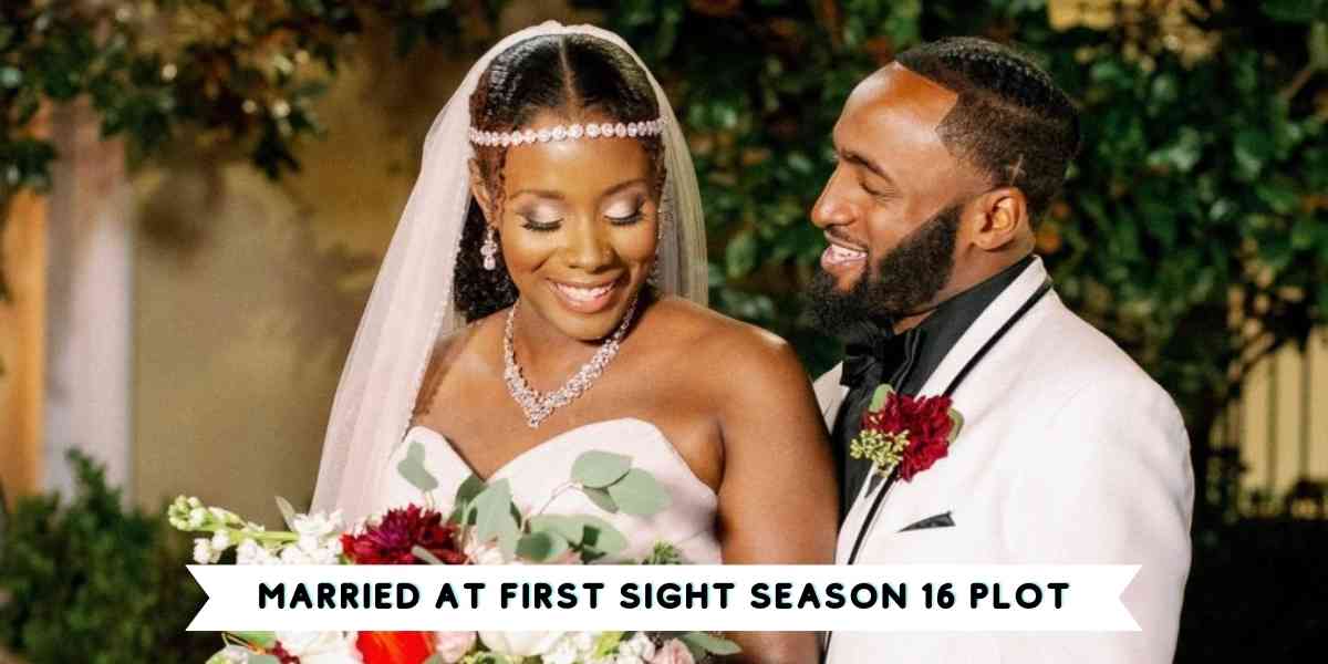 Married at First Sight Season 16 Plot