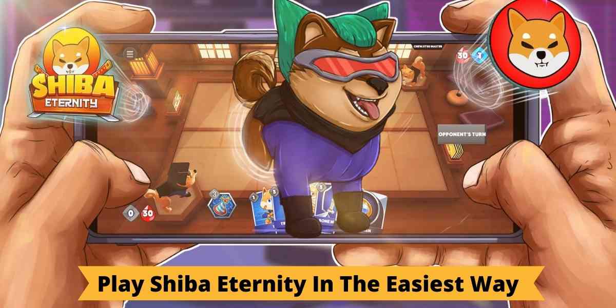 Play Shiba Eternity In The Easiest Way