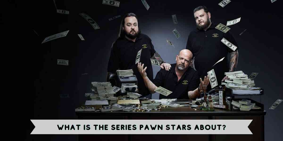 What is The Series Pawn Stars About?