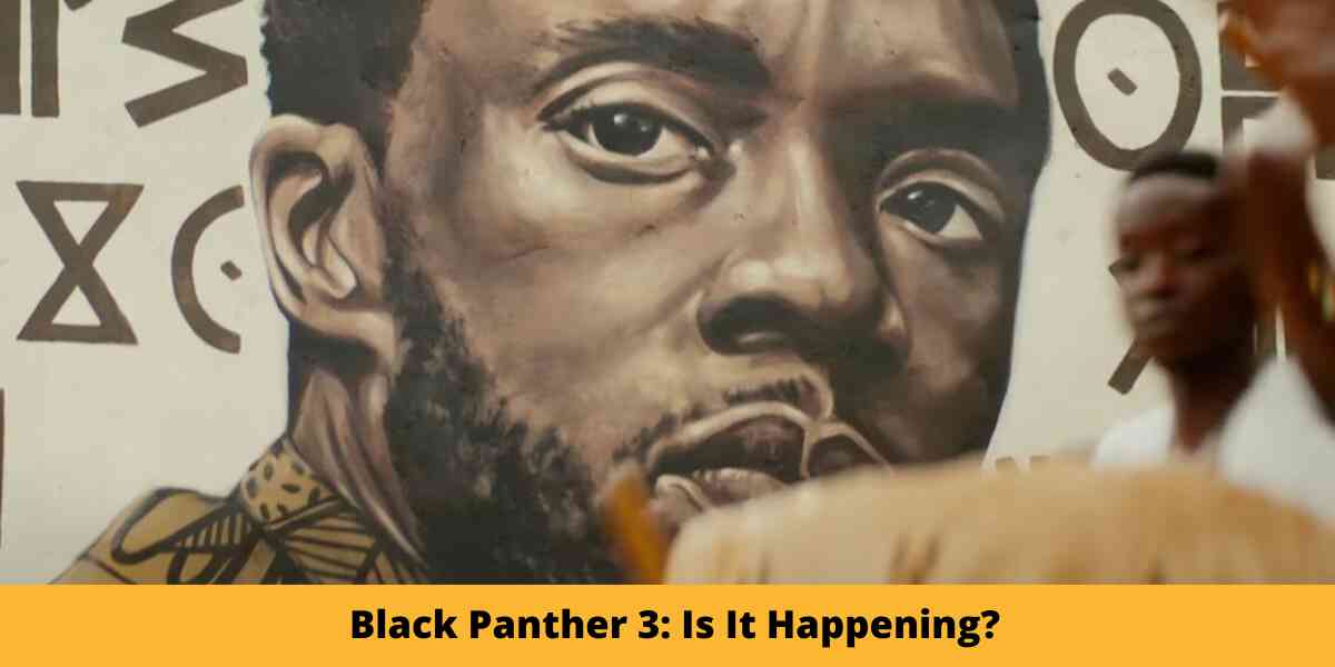 Black Panther 3: Is It Happening?