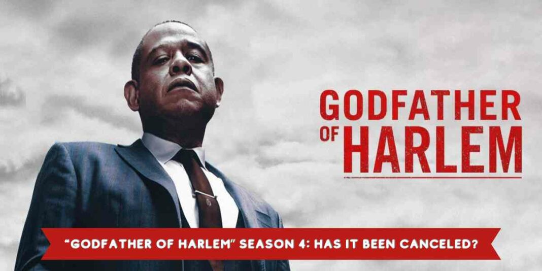 “Godfather of Harlem” Season 4: Has it been Canceled?