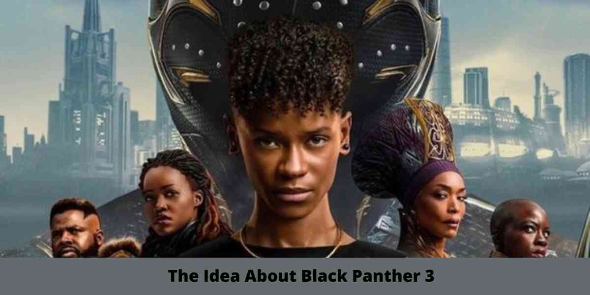 The Idea About Black Panther 3