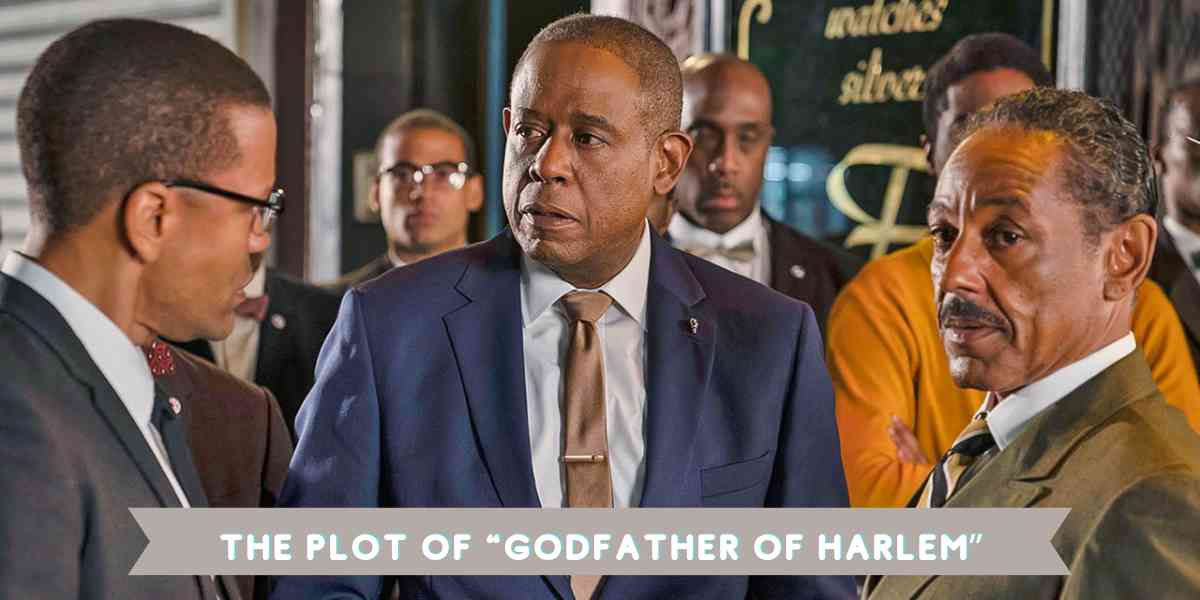 The Plot of “Godfather of Harlem”