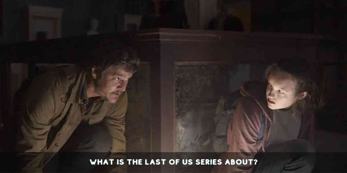 What Is The Last of Us series About?