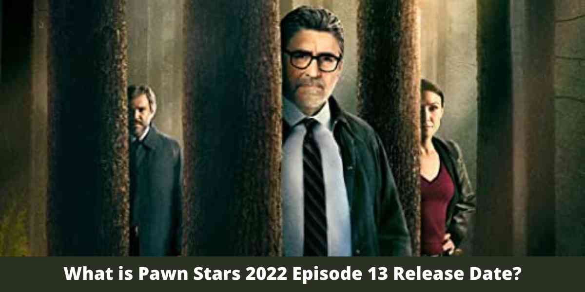 What is Pawn Stars 2022 Episode 13 Release Date?