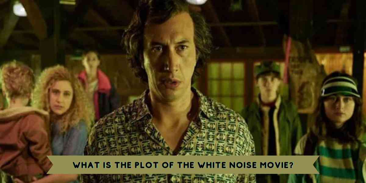 What is the Plot of the White Noise Movie?