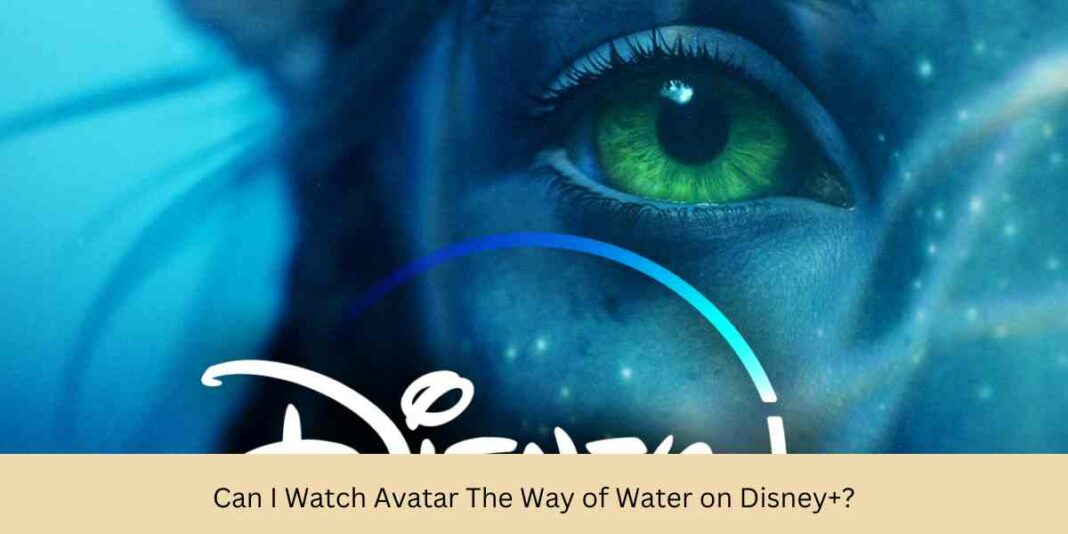 Can I Watch Avatar The Way of Water on Disney