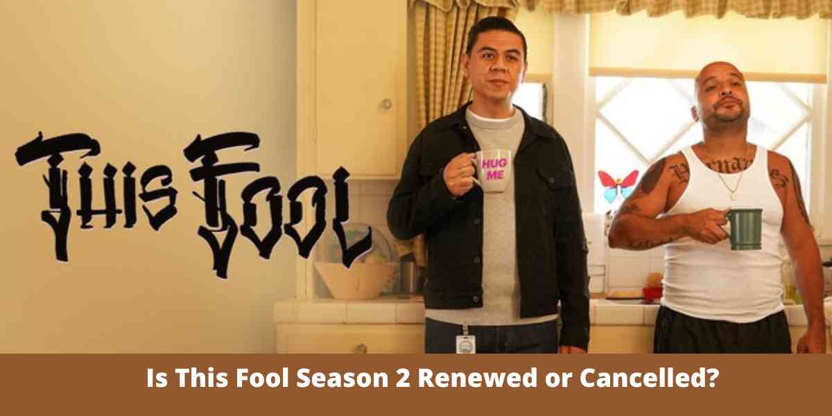 Is This Fool Season 2 Renewed or Cancelled