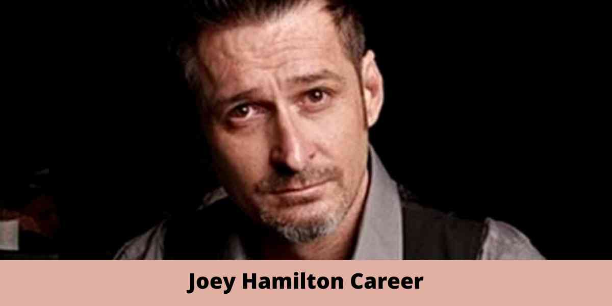 Joey Hamilton Career