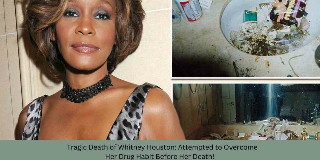 Tragic Death of Whitney Houston Attempted to Overcome Her Drug Habit Before Her Death