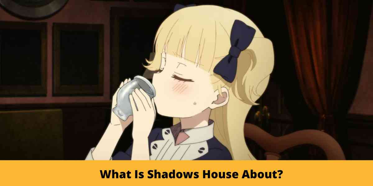 What Is Shadows House About?