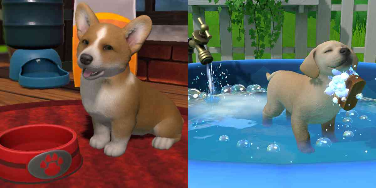 Little Friends Puppy Island - Coming June