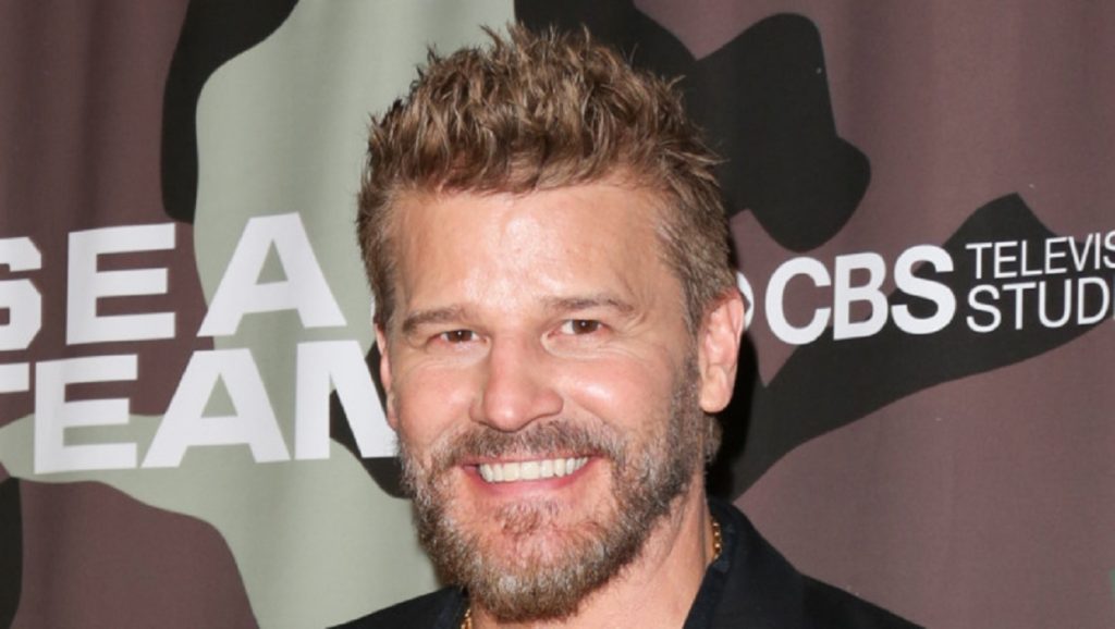 David Boreanaz Net Worth: How Rich Is He?