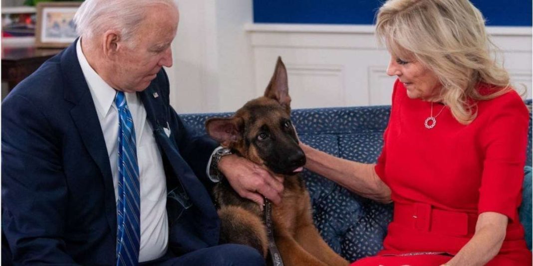 Biden's Dog Leaves White House