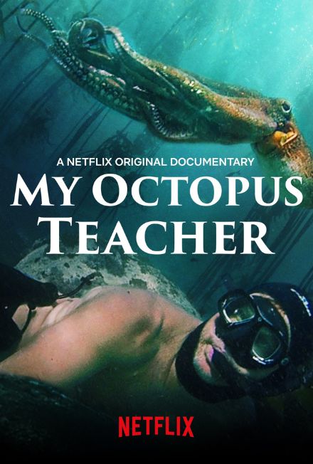 My Octopus Teacher Movie Poster