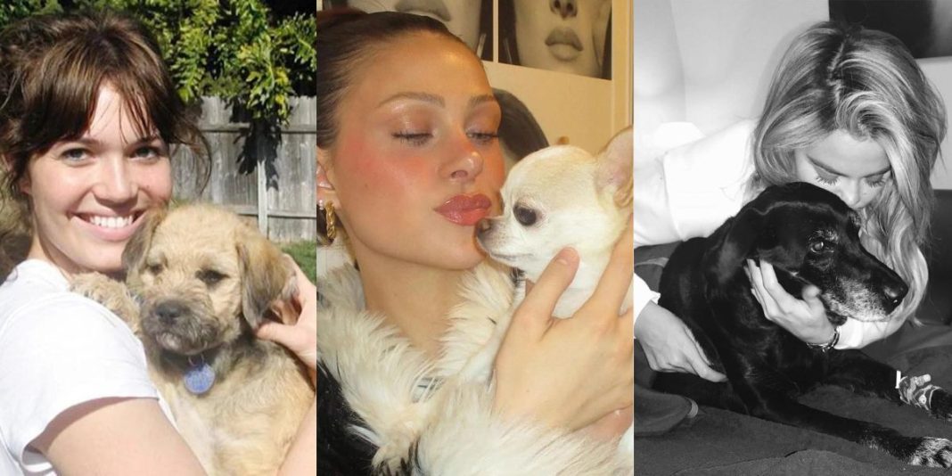 43 Celebrities Who Lost Their Pets