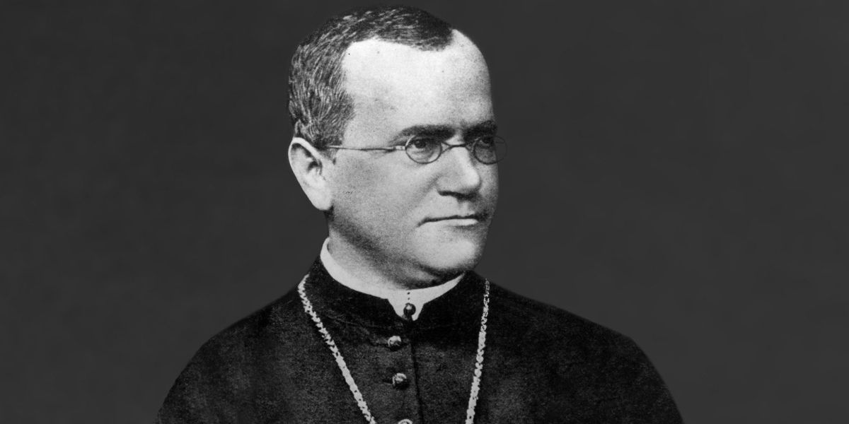 Gregor Mendel